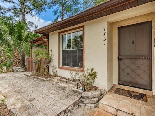 3731 Cheltenham Dr, Palm Harbor FL  34684-4512 exterior