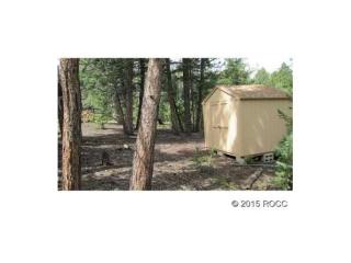 3882 Campfire Rd, Hartsel, CO 80449-9601