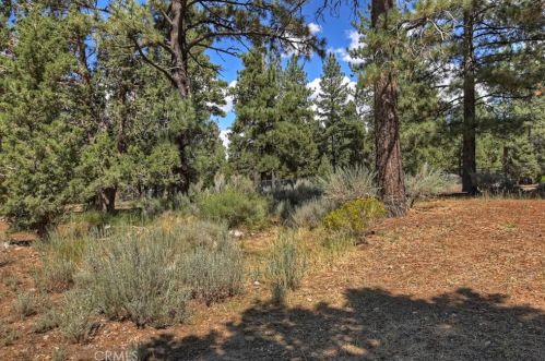 1178 Ln, Big Bear City CA  92314 exterior