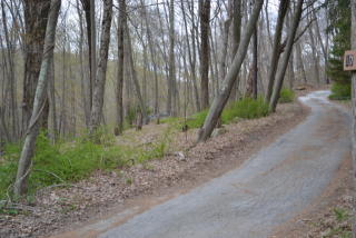 21 Hazel Hill Rd, Mahopac, NY 10541-3979