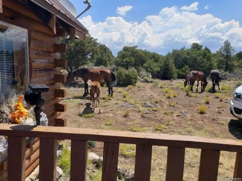 2 Wild Horse Dr, San Luis, CO 81152