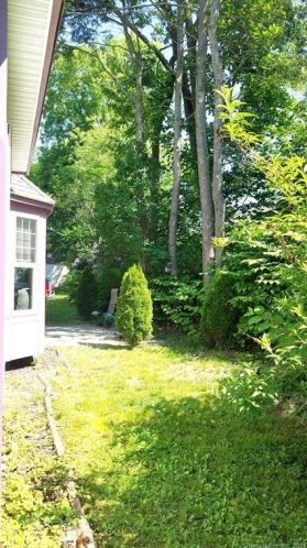 855 Oronoke Rd, Waterbury CT  06708-3923 exterior