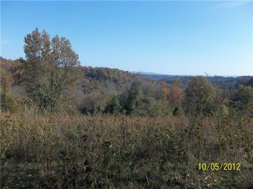 347 Lewis Rd, Belvidere, TN 37306-2709