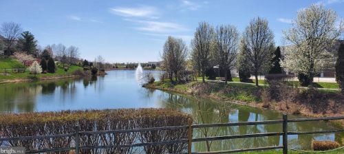 317 Baish Dr, Leesburg VA 20175-6149 exterior