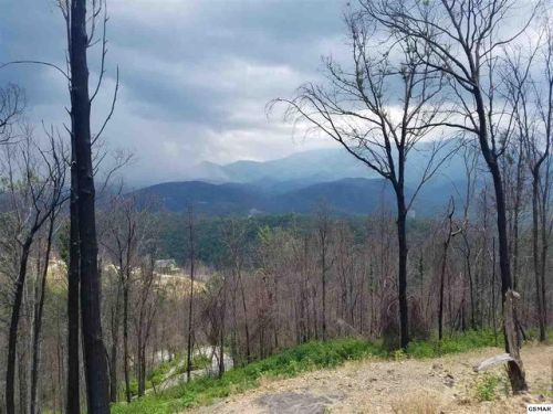 864 Skyline Dr, Gatlinburg, TN 37738-4242