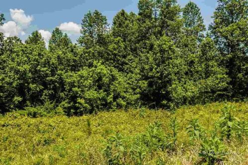 1003 Warlick Rd, Lawndale, NC 28090-9243