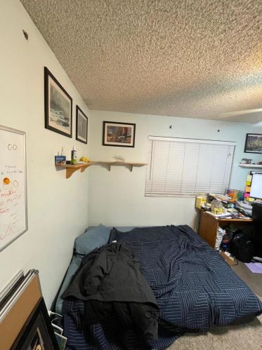 5919 Monte Cristo Ave, Glendale AZ 85306-2231 exterior