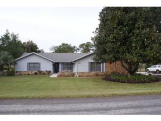 231 Falconry Ct, Hernando, FL 34442-8352