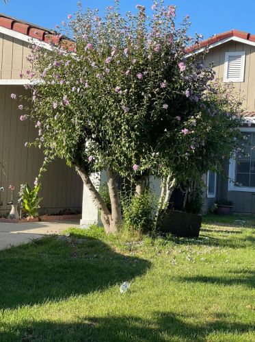 7043 Tokay Cir, Winton, CA 95388-9345