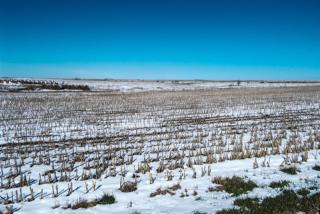 26681 X Rd, Brownell, KS 67521-2517