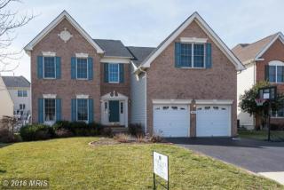 43903 Camellia St, Ashburn, VA 20147-5658
