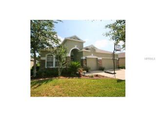 16310 Bridgewalk Dr, Lithia, FL 33547-4800