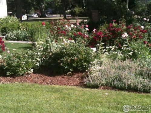 310 Olive St, Fort Collins CO  80521-2716 exterior