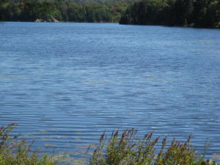 463 Woodys Rd, Newcomb, NY 12852-2351