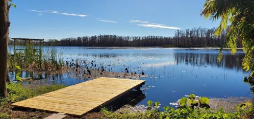 4771 School Rd, Land O Lakes, FL 34638-3648