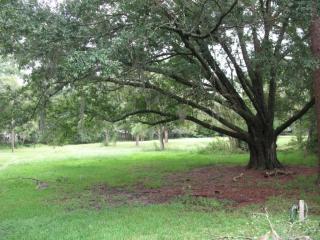 4017 Livingston Rd, Jacksonville, FL 32257-7014