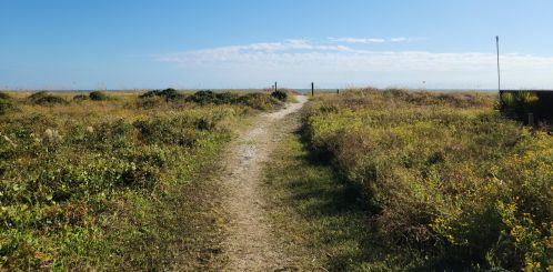 6 44th Ave, Isle Of Palms SC  29451-2605 exterior