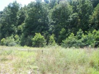 7955 Charlotte Pike, Nashville, TN 37221-6303