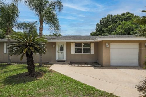 1299 Briarwood Ave, Deltona, FL 32725-6007