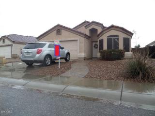 16222 Port Au Prince Ln, Sun City, AZ 85379-5142