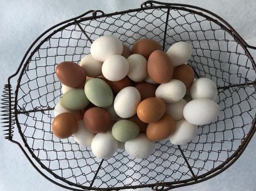 890 Park Pl, El Cajon CA  92021-4300 exterior