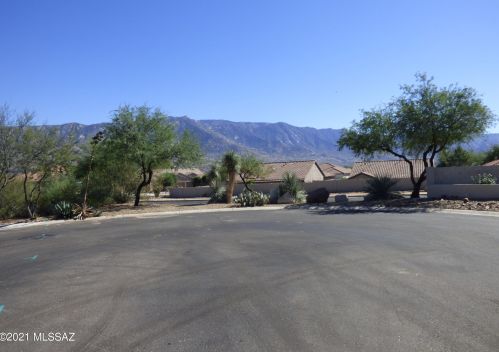 63280 Mountain Wood Dr, Tucson, AZ 85739-1734