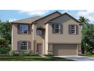 10234 Celtic Ash Dr, Ruskin, FL 33573-6733