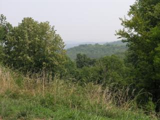 240 King Davids Ct, Franklin, TN 37067-3401