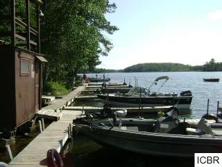 43637 Spider Shores Rd, Marcell, MN 56657-2113