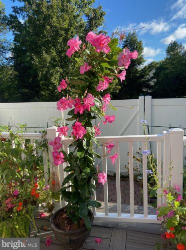 108 Violet Ln, Trenton NJ  08638-2031 exterior