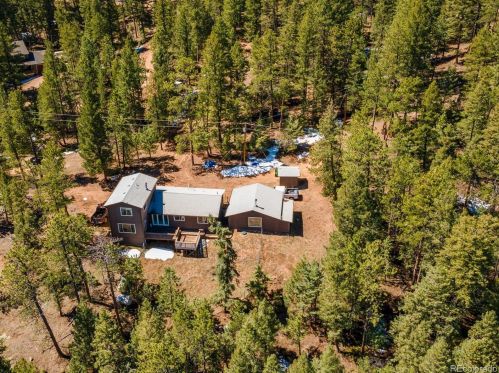 1339 Cinnamon Bear Rd, Deckers, CO 80135-9426
