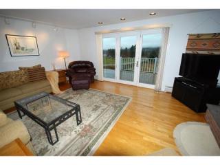 105 Westview Heights Dr, Stowe VT  05672-4362 exterior