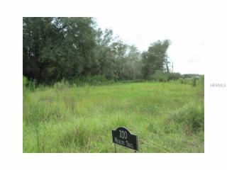 320 Wildlife Trl, Lakeland, FL 33809-4973