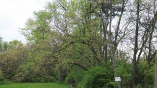 5154 Norwich St, Hilliard OH  43026-1442 exterior