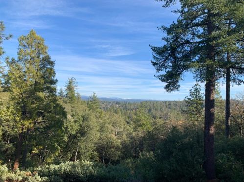 13930 Logans Aly, Pine Grove, CA 95665-9524