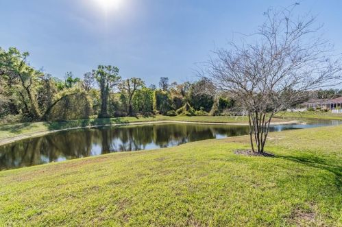 11156 Belle Hvn Dr, New Port Richey FL 34654-4491 exterior