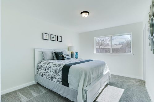 911 Greenbriar Ln, Richardson TX 75080-3004 exterior