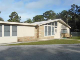 20050 Hideaway Ln, Lutz, FL 33558-8313