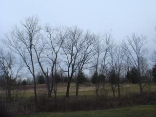 113 Walnut Creek Dr, Georgetown, KY 40324-8033