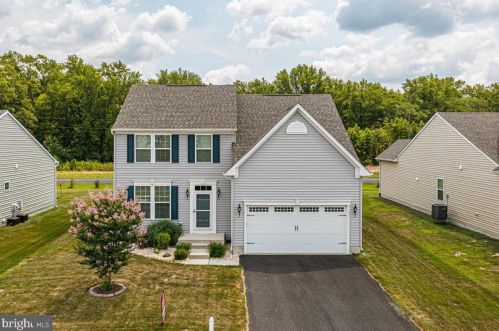 443 Tunbridge Ct, Millsboro, DE 19966-3368