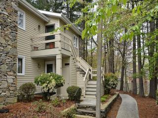 502 Britton Creek Dr, Hendersonville, NC 28791-7208