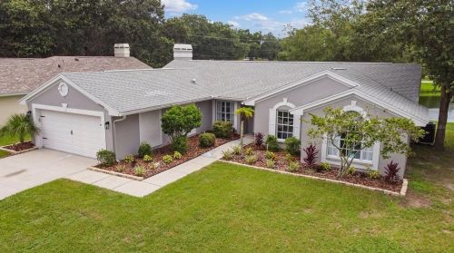 10406 Ashley Oaks Dr, Riverview FL  33578-8828 exterior