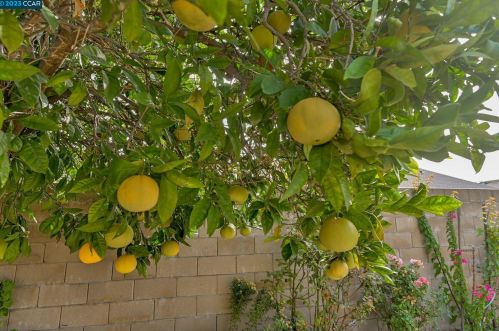 373 Bartlett Ln, Vacaville CA  95687-3128 exterior