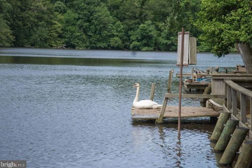 61 Lakeview Dr, Pilesgrove NJ 08098-2081 exterior