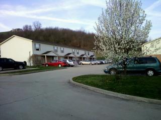 1049 Briarview Dr, Lake Ridge, WV 26330-9485