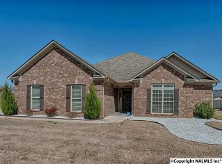 125 Appleberry Ln, Harvest, AL 35749-4601