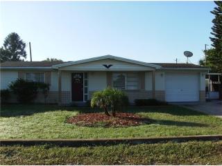4744 Bonton Dr, Tarpon Springs, FL 34690-3910