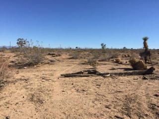 11969 Tumbleweed Rd, Phelan, CA 92371