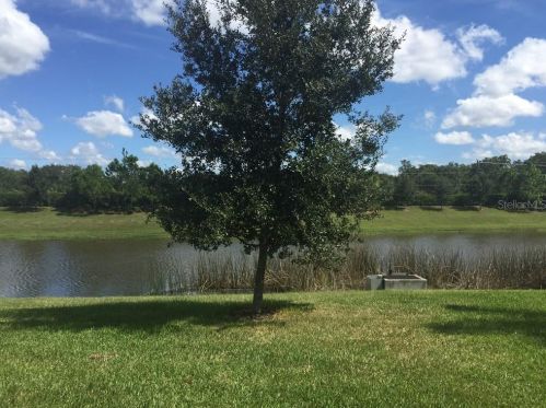 15928 Amber Falls Dr, Wimauma, FL 33598-4057