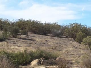 568 Lakeshore Blvd, Aguanga, CA